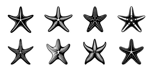 starfish silhouette set, isolated background