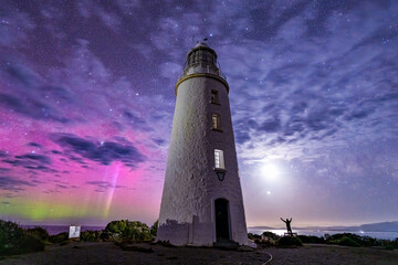 Overjoyed at the Sight of the Southern Lights