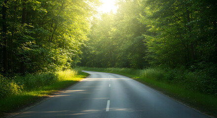 Fototapeta premium Aerial Perspective of a Summer Highway Surrounded by Towering Green Trees and Nature 