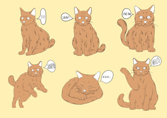 set of funny cats
