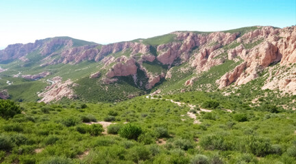Fototapeta premium winding road snakes through a vibrant landscape of green vegetation and striking pinkish-red rock formations