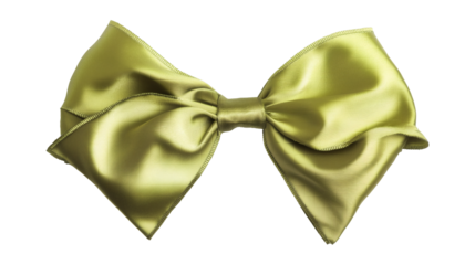 Festive Green Bow Perfect Ribbon Accents for Holiday and Birthday Gifts tie on white or transparent background