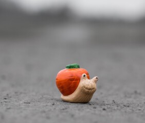 ślimak w drodze do domu z dynią © Rafa