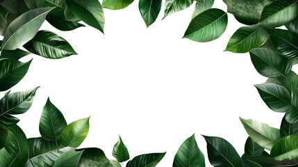 Naklejka premium [Transparent Background PNG]Green Leaves Natural Border Background