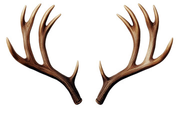 [Transparent Background PNG]Pair of Beautiful Deer Antlers