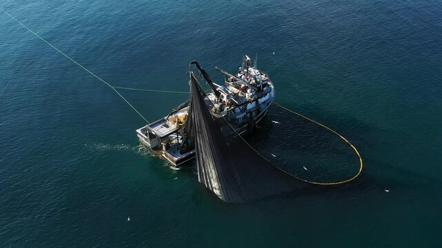 A bird's eye view of a large fishing vessel retrieving its nets. Impressive view with birds flying around fishing boat fishing in blue waters.