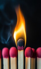 a row of matches with a lit match in front of them