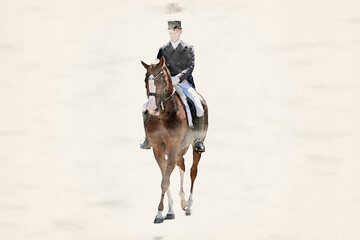 Dressage horse impressions in watercolor graphics.