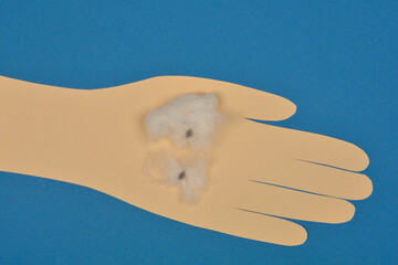 A top-down shot of cotton seeds with white fibers resting on a paper cutout hand to demonstrate...