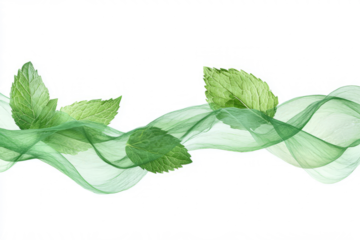 Flying mint leaves forming an abstract wave-like motion, vibrant green, clean white background