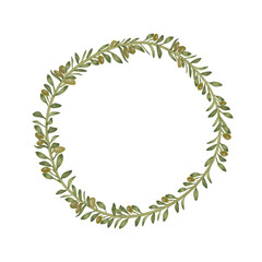 Hand drawn watercolor botanical olive wreath
