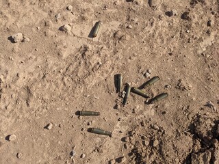 Spent Bullet Casings on Ground