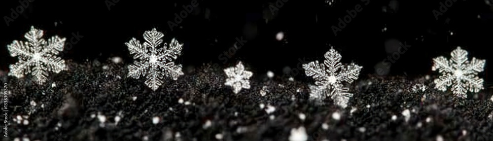 Poster several delicate snowflake crystals rest on a dark textured surface