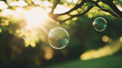 Three soap bubbles floating in the sunlight amongst foliage details