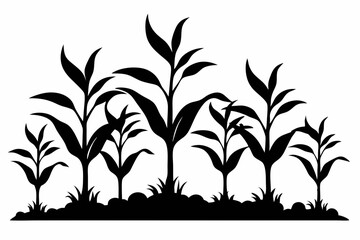 corn seedlings thriving in fertile soil line art silhouette vector illustration