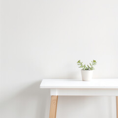 Minimalistic setup with a plant on a white desk.