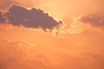 The sunlight in the evening sky.