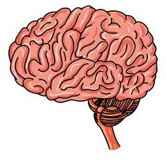 Science of hand drawn vector human brain clipart.