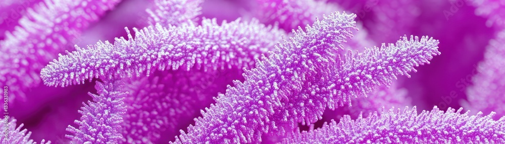 Poster The Close Up View Displays Fuzzy Structures In Pink Hues