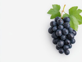 Fototapeta premium Fresh bunch of dark grapes with green leaves on a white background