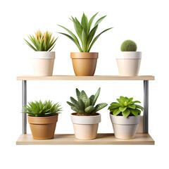 Potted Plants Shelf: Modern Home Decor on transparent background