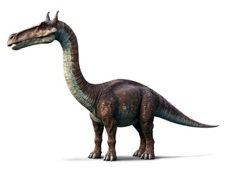 Fototapeta premium Majestic Dreadnoughtus Dinosaur Standing Tall and Isolated on a Plain Background