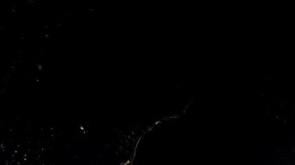 A lively splash of colorful fruit, ideal for fresh and playful visual transitions.