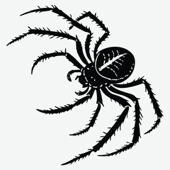 Spider image silhouette design vector art and illustration
