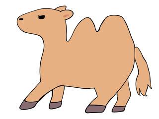 まるっこい ラクダ