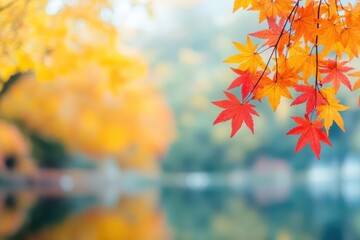 A picturesque scene of Fall trees and a serene retirement lake with vibrant Autumn foliage Within the setting of an Online webinar presentation