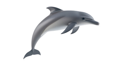 Obraz premium Jumping Dolphin isolated on transparent background.