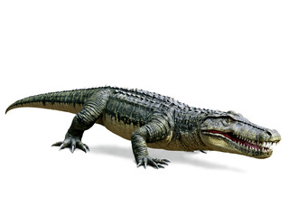 Naklejka premium Sarcosuchus Imperator, A Realistic Depiction of an Ancient Crocodile
