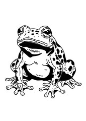 frog isolated on white