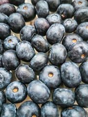 Blueberry closeup background, antioxidant fruits, healthy eating, wellness 