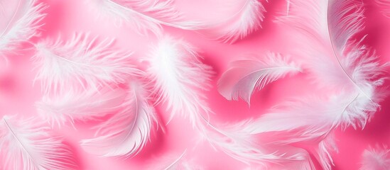 Pink background with white feathers floating in the air, pink wallpaper, pink and white feather pattern
