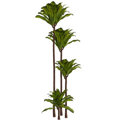 Tall, lush tropical plants in a vertical arrangement