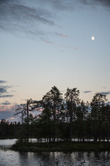Evening sky and the moon by a small lake in the forests of eastern Finland in summer