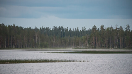 Mist on a small lake in the forests of eastern Finland on a summer night