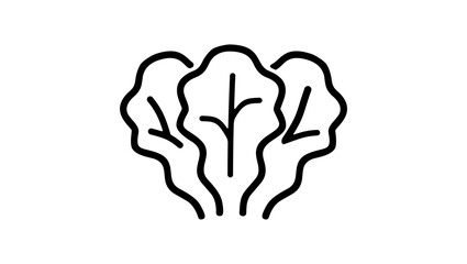 lettuce vegetable, Black Isolated Silhouette