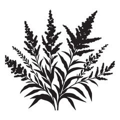 Wildflowers Vector Illustration Goldenrod Floral Design Element Graphic Resource