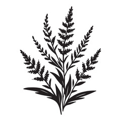 Elegant Goldenrod Vector Silhouette Illustration for Botanical and Floral Designs