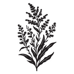 Elegant Silhouette Goldenrod Flower Illustration for Botanical Design Project