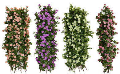 Four Vertical Rows of Colorful Climbing Roses