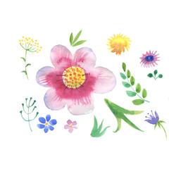 pink and white watercolor flowers