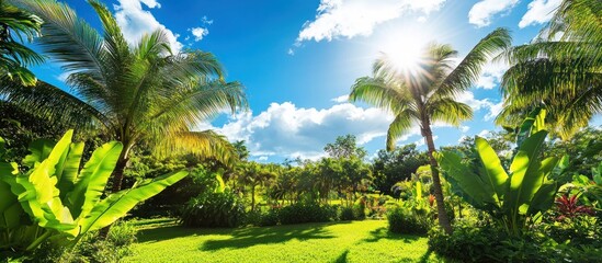 Obraz premium Lush Tropical Paradise: A Sunny Day in a Vibrant Garden