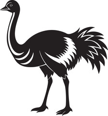 ostrich emu bird silhouette, black and white silhouette, vector and illustration
