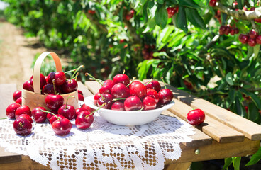 White bowl filled with ripe cherries on the table