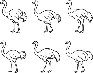 set of ostrich emu bird line art, black outline, vector and illustration, coloring book page line art drawing