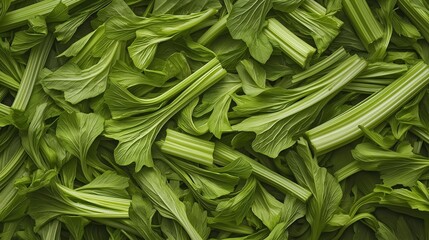 Fototapeta premium Close-up of a pile of green leaves. the leaves are long and slender, with a pointed tip at the end. they are arranged in a random, overlapping manner, creating a textured background.