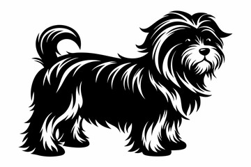affenpinscher line art silhouette vector illustration